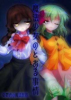魔法少女のとある事情