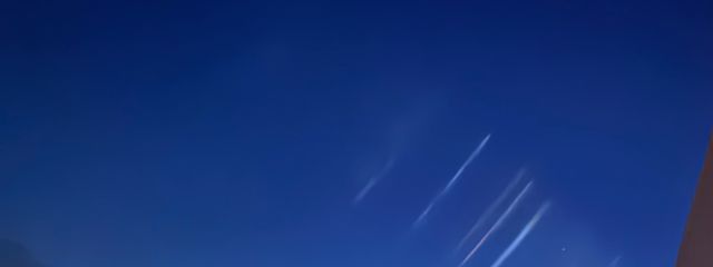 나비🌱⋆さんの壁紙画像