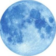 나비🌱⋆さんのアイコン画像