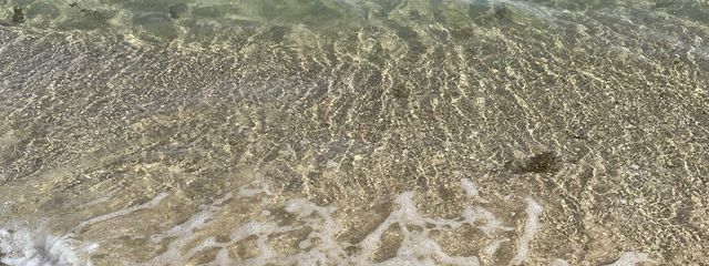 すみれさんの壁紙画像