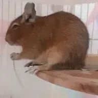 nozomiさんのアイコン画像