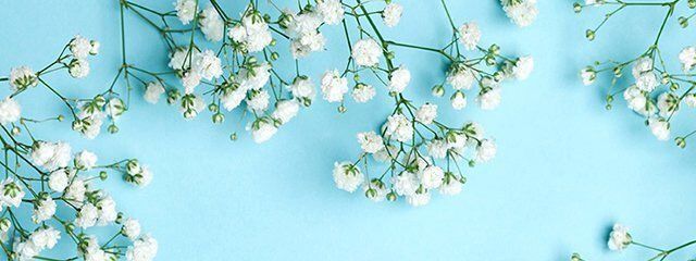 栞さんの壁紙画像