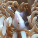 ダスト@…なんこれ