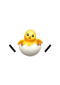 🐥⸒⸒ひよこの隠れ家🐥⸒⸒