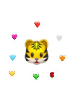 🐯Travis高校🐯