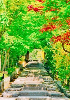 🐲寺、神社、城界隈ノート🐲