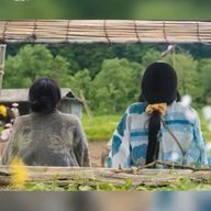 🍃 직 🍃 （直）無差別フォロバさんのアイコン画像