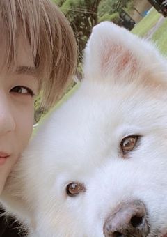 僕の彼氏が犬になった件について