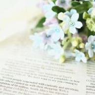 ブルースターさんのアイコン画像