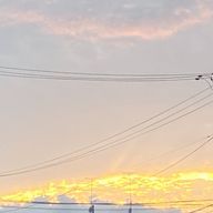 青空さんのアイコン画像