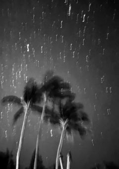 君を拐って＿僕を救って