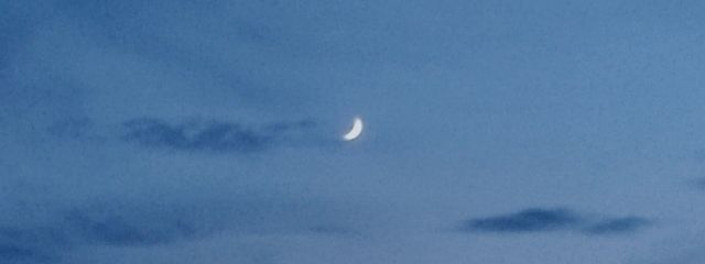 Ｑｉｎさんの壁紙画像