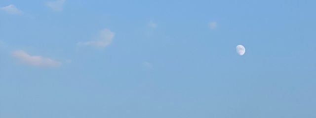 𝕐さんの壁紙画像