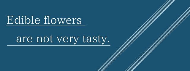 夜華。(yaka.)さんの壁紙画像