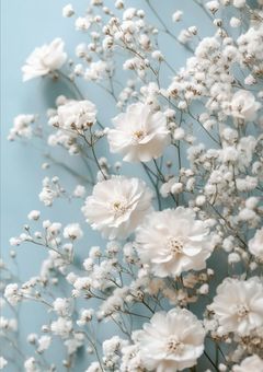 いにの有能マンネ.