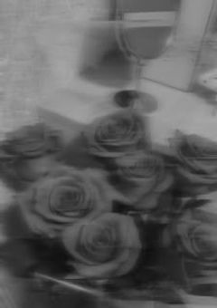 𝒇𝒂𝒏𝒕𝒂𝒔𝒊𝒂.