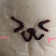 フェオさんのアイコン画像