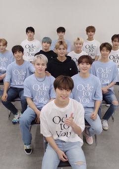 SEVENTEEN少年達の愛の巣箱。