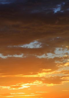 帝園の男の娘   ＿ptpt