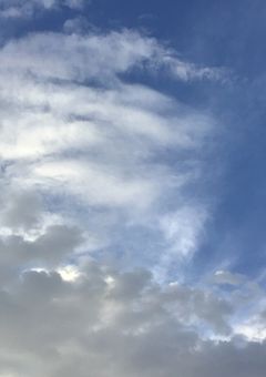 空が灰色だから、自殺しようと思います。 ＿ptpt