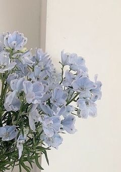 こんな未来になるなんて