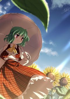 ❁⃘風 見 幽 香 と 人 語 を 解 す る 花 .