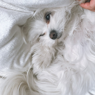 結城さんのアイコン画像