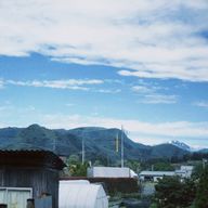 🕊🍀♡さんのアイコン画像