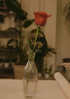 結局僕は何？ NCTの秘密