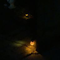 あいさんのアイコン画像