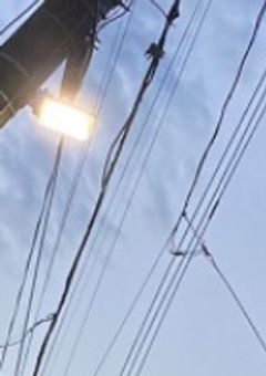 そーだん所