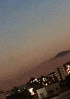 好き。