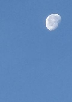 イラスト部屋