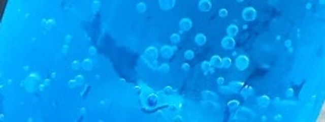 yuiさんの壁紙画像