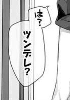 犬猿の仲 、続行中