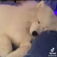 JNさんのアイコン画像