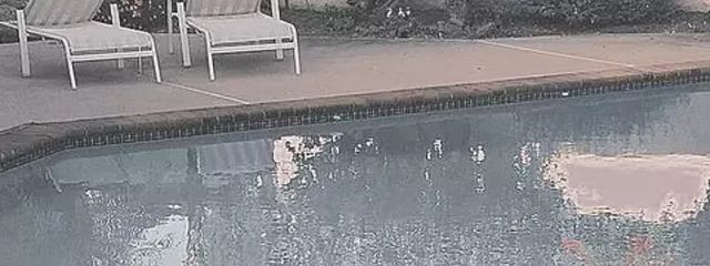 お っ と っ と . )低 浮さんの壁紙画像