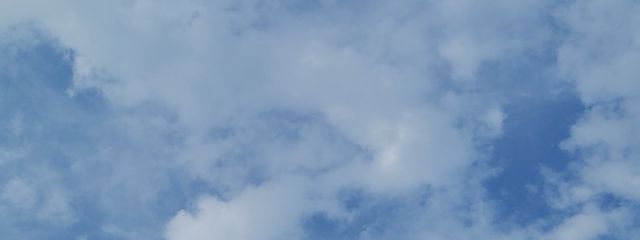 ゆかりさんの壁紙画像