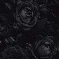 KAITOさんのアイコン画像