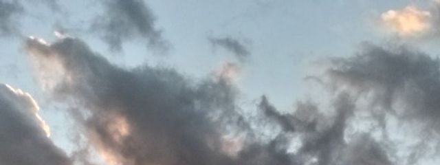 ﾖｩｸﾞﾙﾄさんの壁紙画像