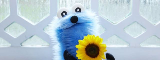 木海月さんの壁紙画像