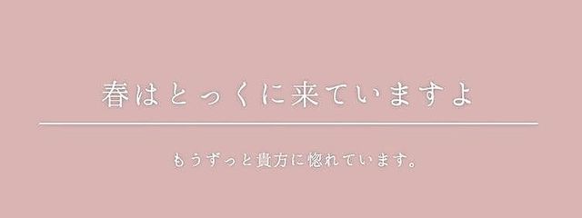 たんたんめんさんの壁紙画像