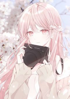 ケンカばっかりの兄妹はブラコンでシスコン
