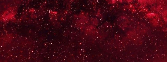 星王美味さんの壁紙画像