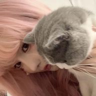 hyn＿＿＿＿＿＿＿＿＿。🌙*ﾟさんのアイコン画像