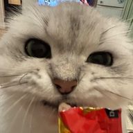 エリさんのアイコン画像