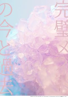 完璧メイドの今と過去