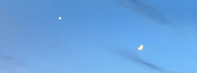 がおさんの壁紙画像