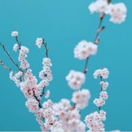 mnyuさんのアイコン画像