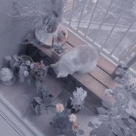 　　　叶羽　　さんのアイコン画像